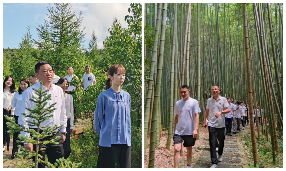 公司黨委傳達學(xué)習(xí)貫徹黨的二十屆三中全會精神 公司黨委傳達學(xué)習(xí)貫徹黨的二十屆三中全會精神